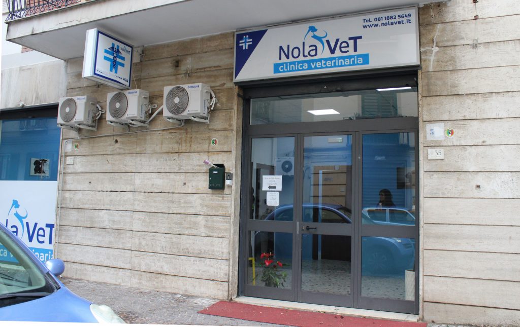 Clinica veterinaria h4 NolaVeT